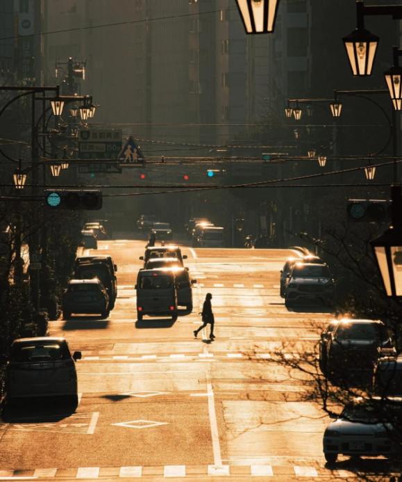 1774595494271424.jpg 1.jpg