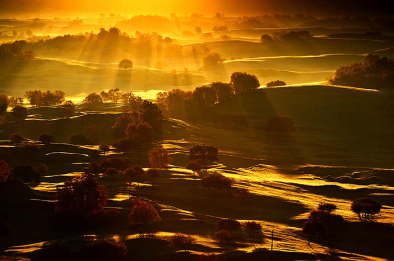 1775104156596024.jpg 1.jpg